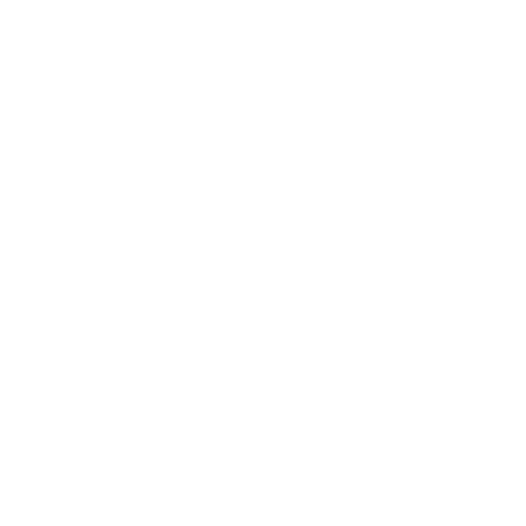 Layer
